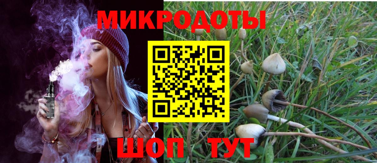 Севастополь  Галлюциногенные грибы Cubensis  Вход с VPN 