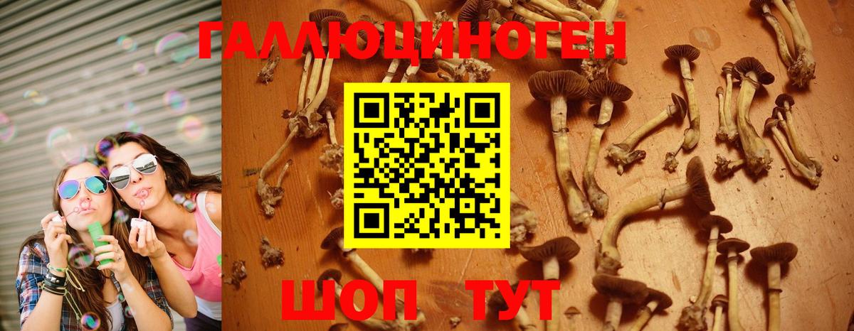 Псилоцибиновые грибы мицелий Севастополь